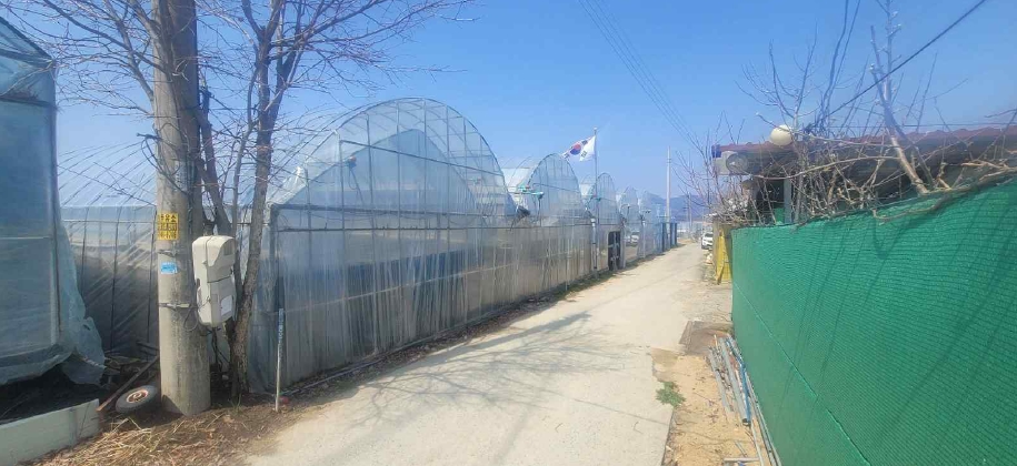 경상북도 김천시 대항면 대룡리 441 외 1필지 답 경매 사진 2