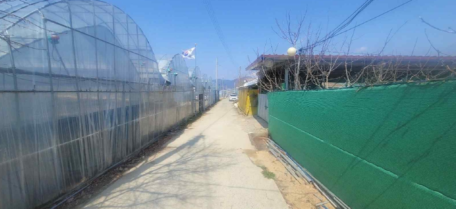 경상북도 김천시 대항면 대룡리 441 외 1필지 답 경매 사진 3