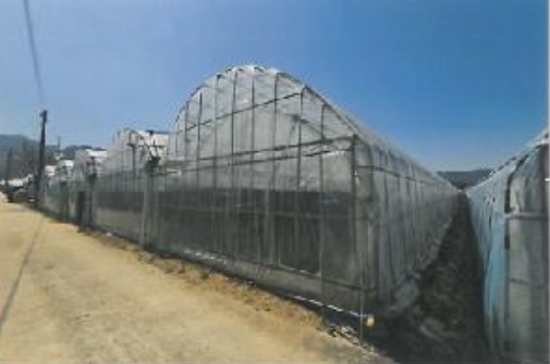 경상북도 김천시 대항면 대룡리 441 외 1필지 답 경매 사진 5