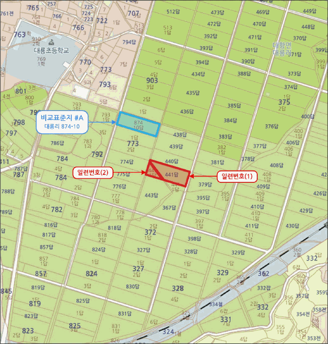 경상북도 김천시 대항면 대룡리 441 외 1필지 답 경매 사진 6