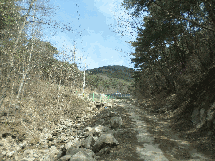 경상북도 김천시 대덕면 연화리 62 답 경매 사진 28