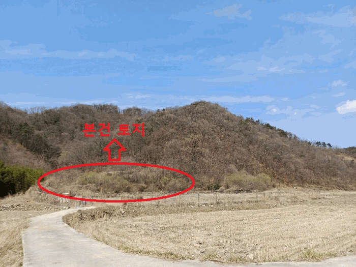 경상북도 김천시 지례면 여배리 434 전 경매 사진 12