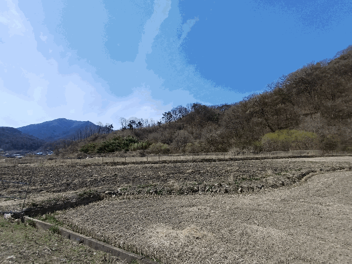 경상북도 김천시 지례면 여배리 434 전 경매 사진 14