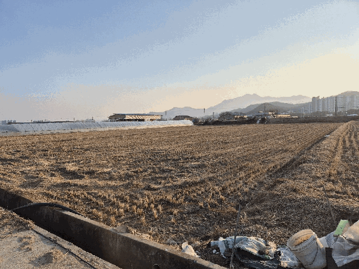 경상북도 구미시 고아읍 문성리 208 답 경매 사진 3