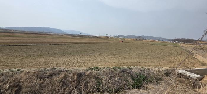 경상북도 구미시 해평면 문량리 374 답 경매 사진 7