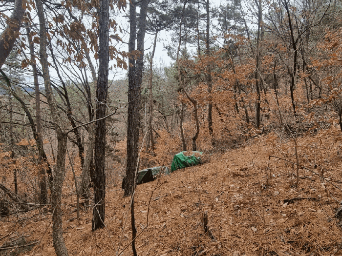 경상북도 구미시 선산읍 노상리 169 전 경매 사진 13