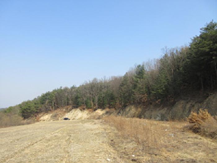 경상북도 예천군 보문면 작곡리 9-1 외 4필지 답 경매 사진 11