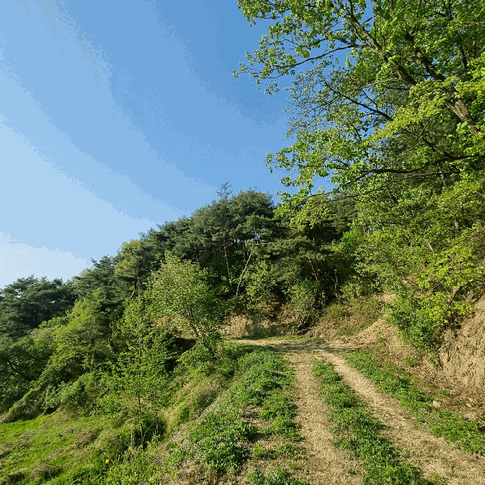 경상북도 예천군 보문면 작곡리 9-1 외 4필지 답 경매 사진 16