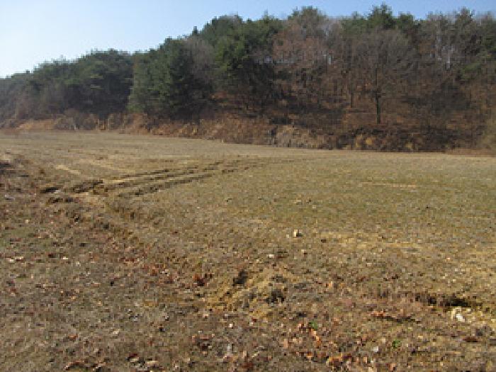 경상북도 예천군 보문면 작곡리 9-1 외 4필지 답 경매 사진 3