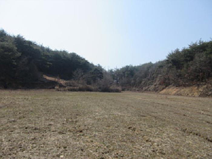 경상북도 예천군 보문면 작곡리 9-1 외 4필지 답 경매 사진 7