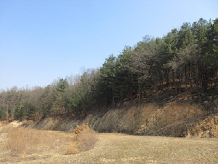 경상북도 예천군 보문면 작곡리 9-1 외 4필지 답 경매 사진 10