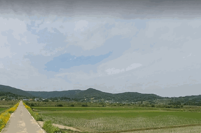 경상북도 예천군 풍양면 고산리 39-1 답 경매 사진 7