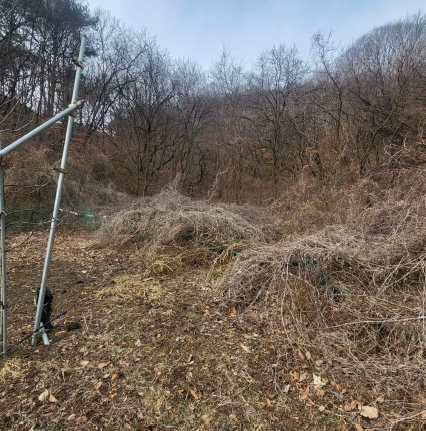 경상북도 문경시 가은읍 작천리 655 전 경매 사진 10