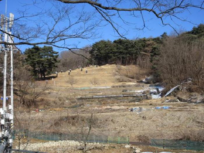 경상북도 문경시 호계면 봉서리 153 외 1필지 답 경매 사진 1
