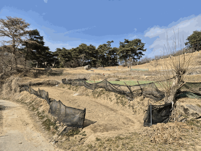 경상북도 문경시 호계면 봉서리 153 외 1필지 답 경매 사진 8