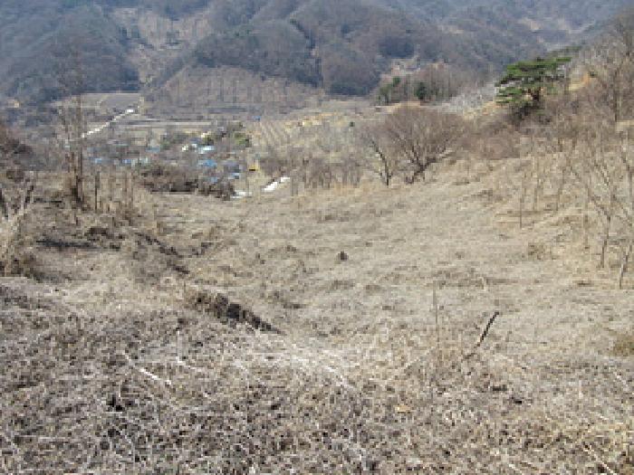 경상북도 예천군 효자면 고항리 178 외 6필지 전 경매 사진 1