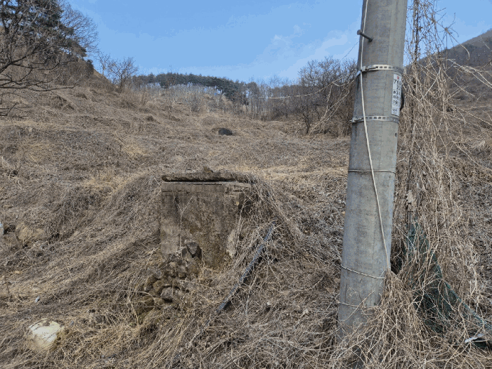 경상북도 예천군 효자면 고항리 178 외 6필지 전 경매 사진 13