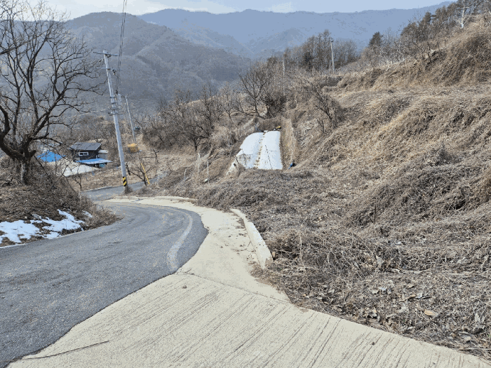 경상북도 예천군 효자면 고항리 178 외 6필지 전 경매 사진 17