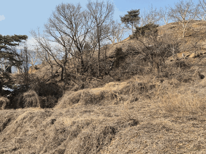 경상북도 예천군 효자면 고항리 178 외 6필지 전 경매 사진 18