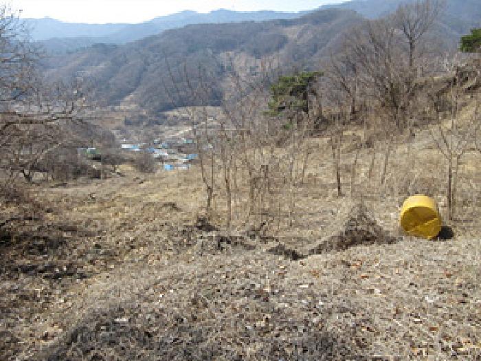 경상북도 예천군 효자면 고항리 178 외 6필지 전 경매 사진 3