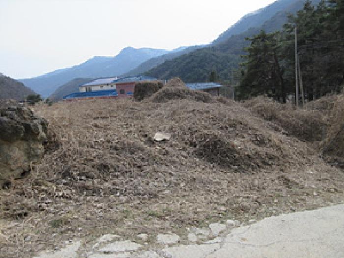 경상북도 문경시 문경읍 상초리 288-4 대지 경매 사진 2