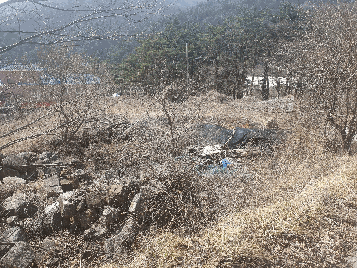 경상북도 문경시 문경읍 상초리 288-4 대지 경매 사진 7