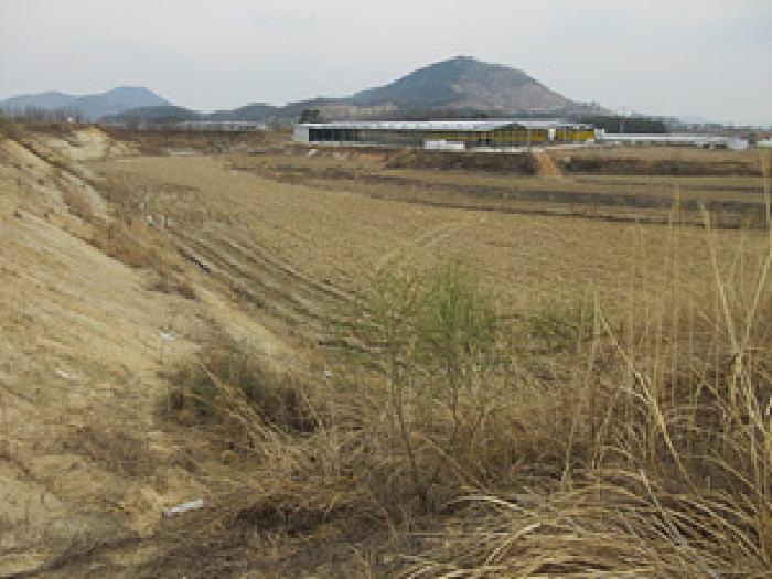 경상북도 예천군 풍양면 낙상리 723-3 답 경매 사진 11