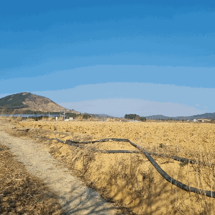 경상북도 예천군 풍양면 낙상리 723-3 답 경매 사진 15