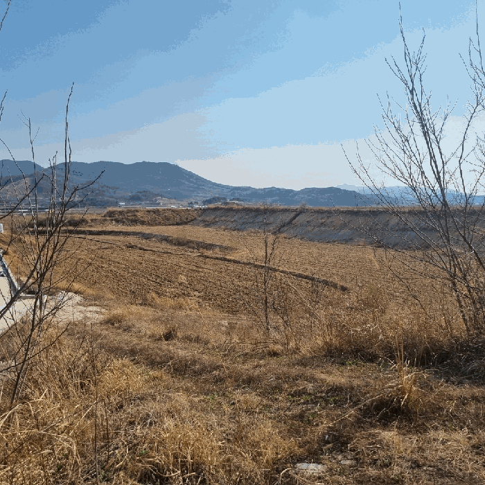 경상북도 예천군 풍양면 낙상리 723-3 답 경매 사진 16