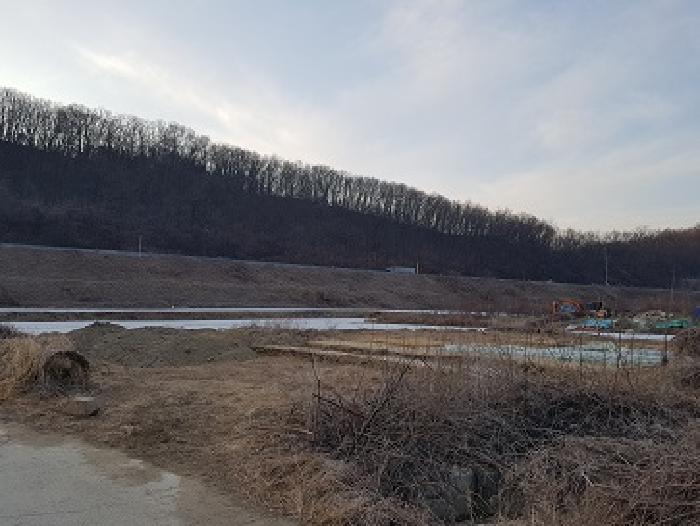 대구광역시 군위군 군위읍 사직리 254 전 경매 사진 2