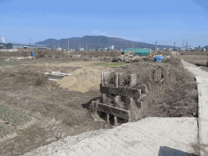 대구광역시 군위군 군위읍 사직리 254 전 경매 사진 3