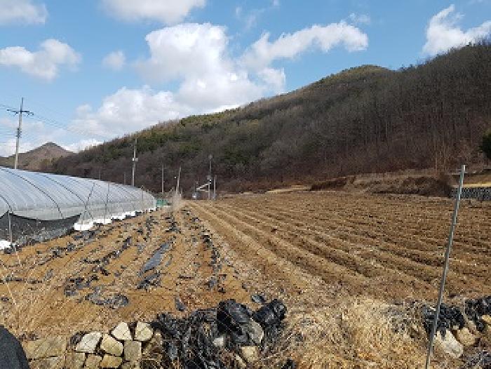경상북도 의성군 신평면 덕봉리 90 전 경매 사진 7