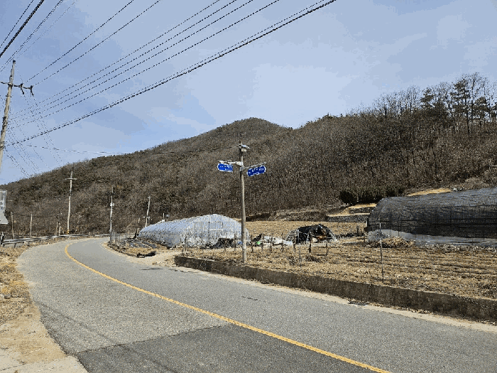 경상북도 의성군 신평면 덕봉리 90 전 경매 사진 10