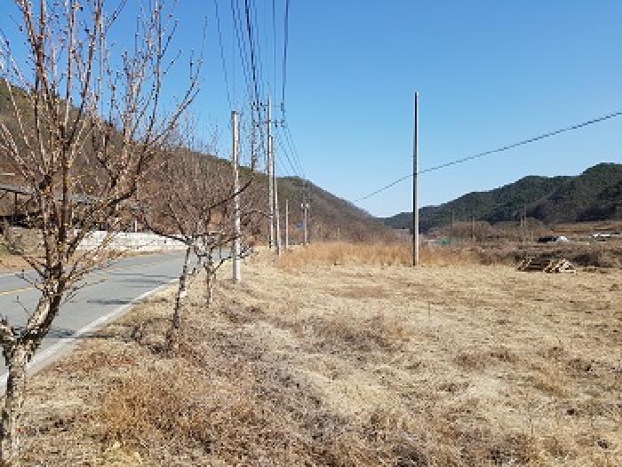 경상북도 의성군 사곡면 매곡리 151-3 전 경매 사진 2