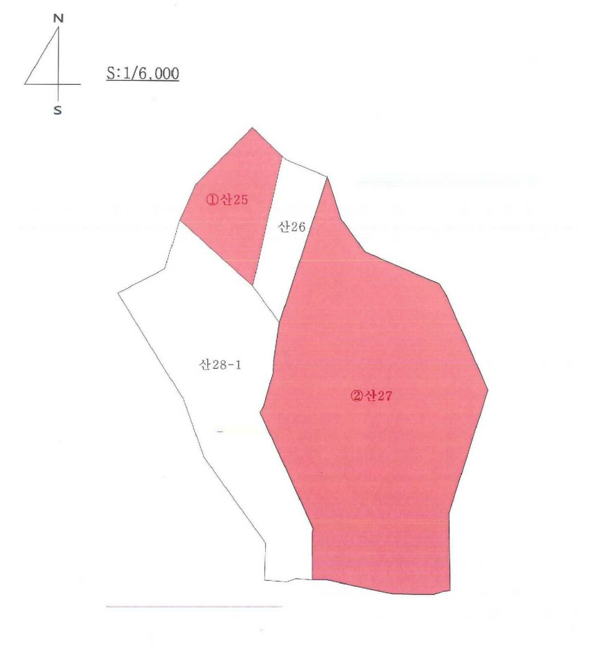 경상북도 청송군 안덕면 지소리 산25 임야 경매 사진 6