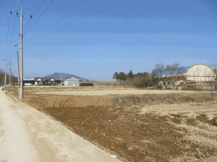 경상북도 청송군 진보면 이촌리 597-3 답 경매 사진 15