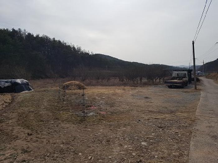 대구광역시 군위군 의흥면 신덕리 241 외 1필지 전 경매 사진 2