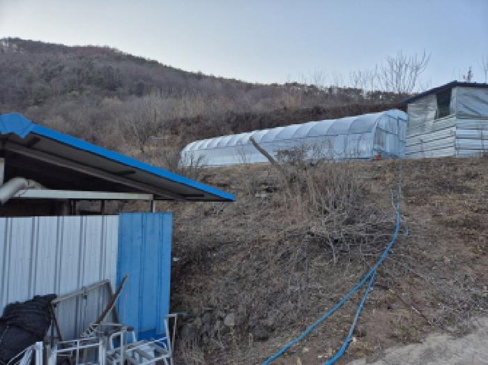 경상북도 영양군 청기면 토곡리 395 외 1필지 전 경매 사진 2