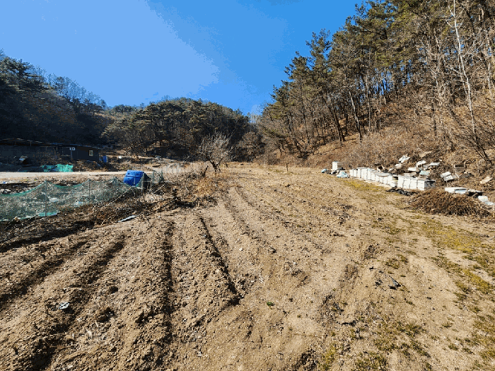 경상북도 영덕군 강구면 화전리 37 전 경매 사진 11