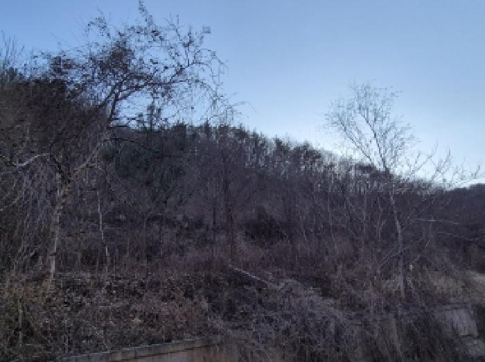경상북도 포항시 북구 기계면 남계리 567 전 경매 사진 13