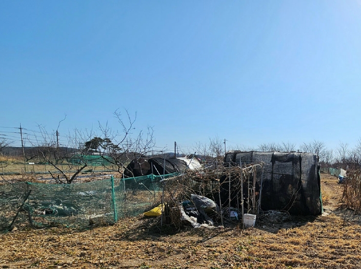 경상북도 포항시 북구 흥해읍 성곡리 888-2 답 경매 사진 5