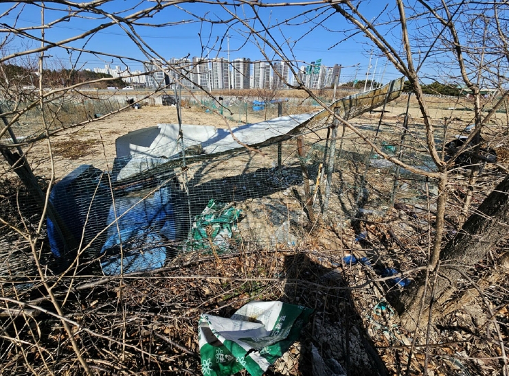 경상북도 포항시 북구 흥해읍 성곡리 888-2 답 경매 사진 7