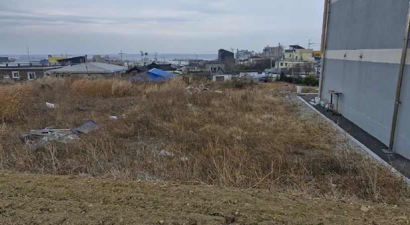 경상북도 포항시 남구 호미곶면 대보리 839-12 답 경매 사진 14