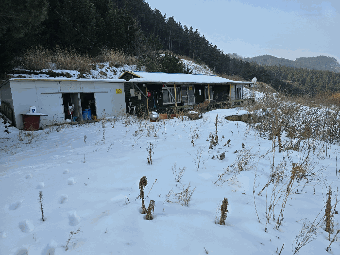경상북도 울릉군 북면 현포리 618-3 주택 경매 사진 32
