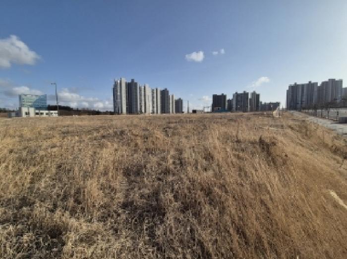 경상북도 포항시 북구 흥해읍 이인리 1002 대지 경매 사진 11