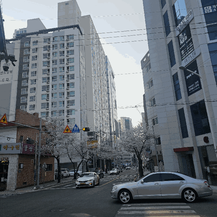 부산광역시 연제구 연산동 1310-40 세영엘리츠더시티 19층1908호 오피스텔 경매 사진 19