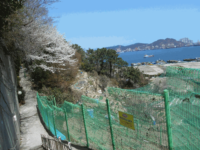 부산광역시 영도구 청학동 48-127 외 3필지 임야 경매 사진 12