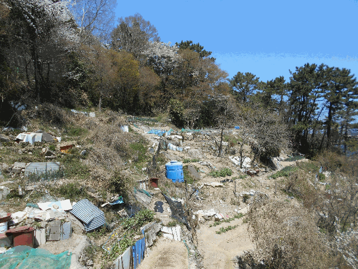 부산광역시 영도구 청학동 48-127 외 3필지 임야 경매 사진 13