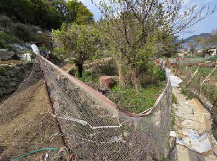 부산광역시 영도구 청학동 48-127 외 3필지 임야 경매 사진 5