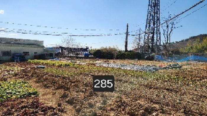 부산광역시 기장군 장안읍 좌천리 390 전 경매 사진 2